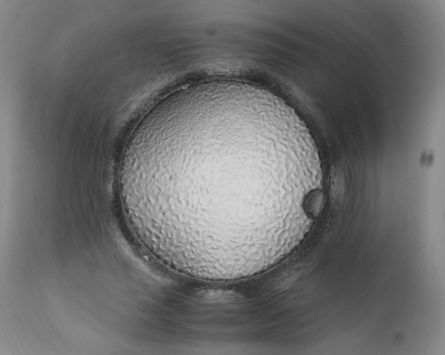 X0000110910637200907021436