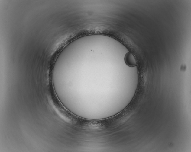 X0000110910638200907021436