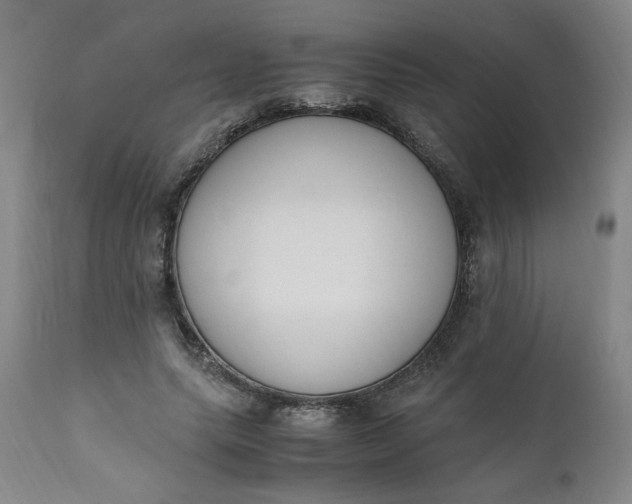 X0000110910639200907021436