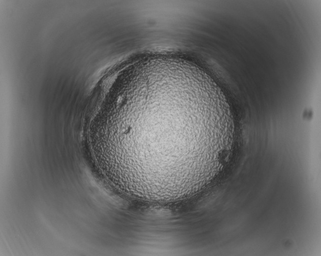 X0000110910640200907021436