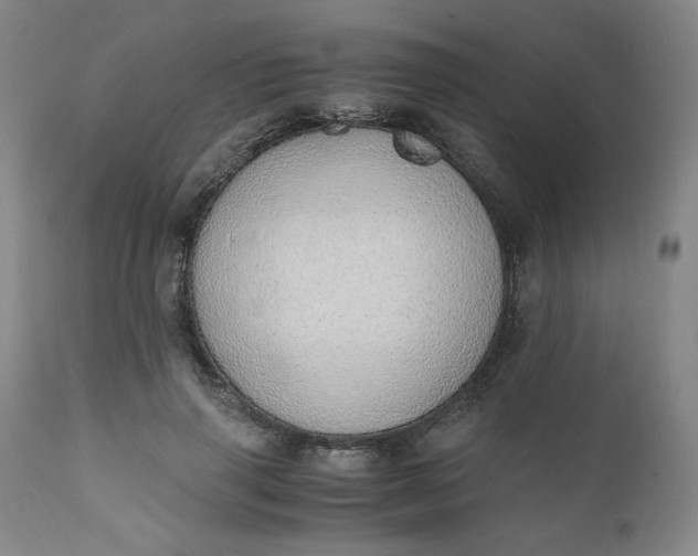 X0000110910645200907021436