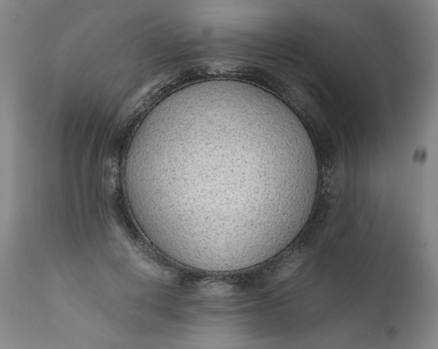 X0000110910648200907021436