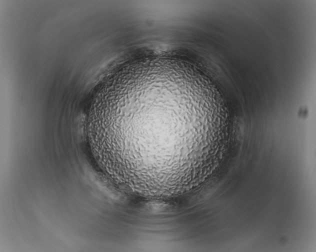 X0000110910650200907021436