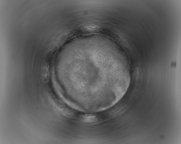 X0000110910651200907021436