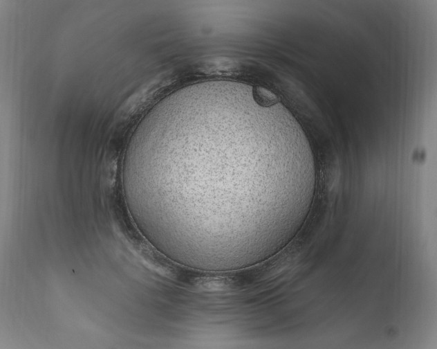 X0000110910652200907021436