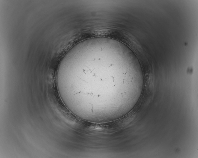 X0000110910655200907021436