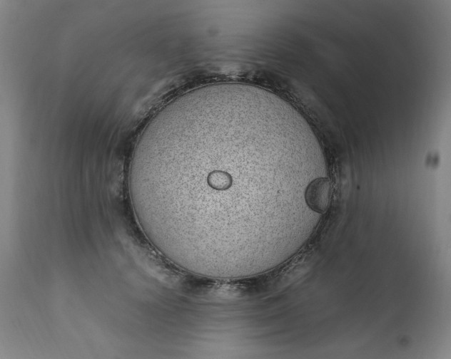 X0000110910656200907021436