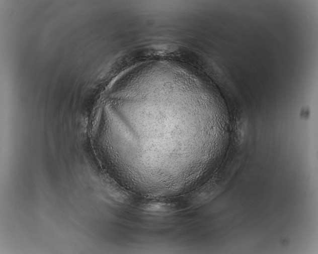 X0000110910657200907021436