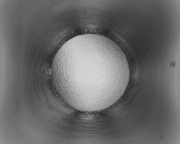 X0000110910661200907021436