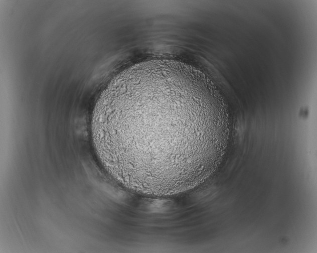 X0000110910663200907021436