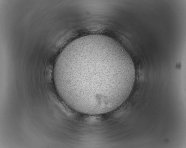 X0000110910664200907021436