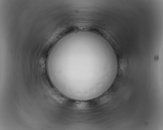 X0000110910667200907021436