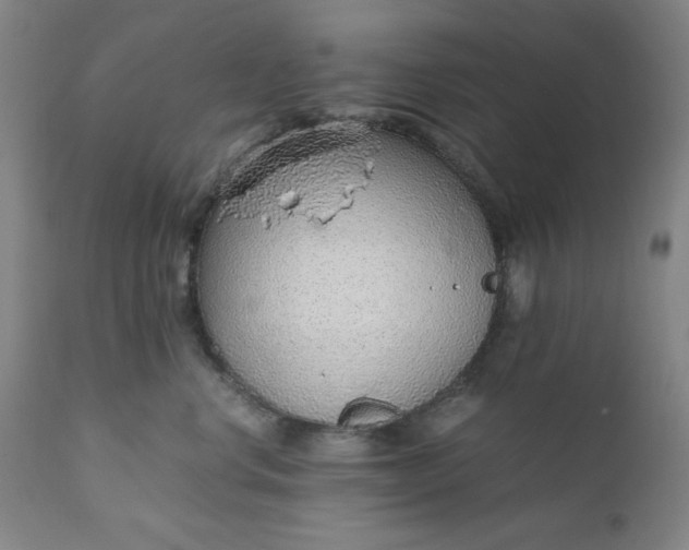 X0000110910668200907021436