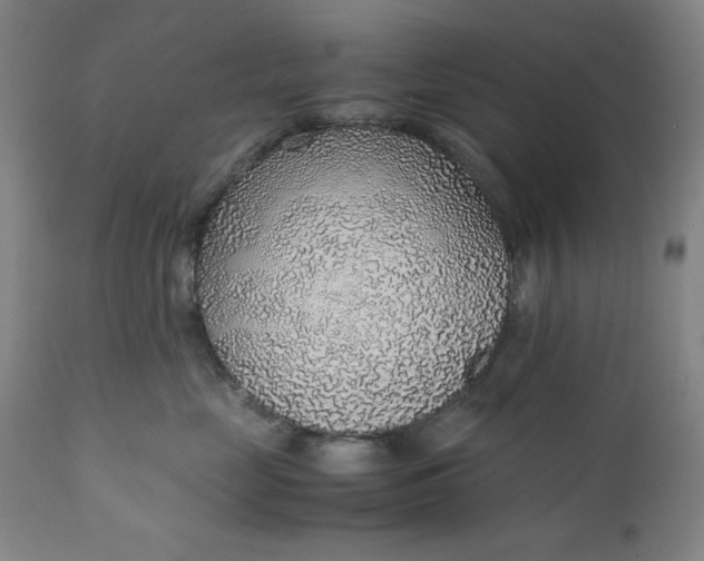 X0000110910669200907021436