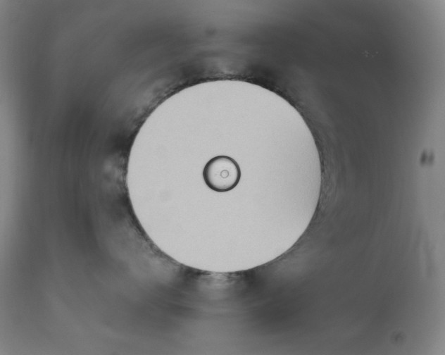 X0000110910672200907021436