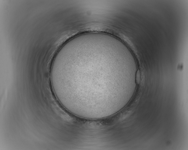 X0000110910673200907021436