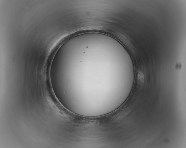 X0000110910676200907021436