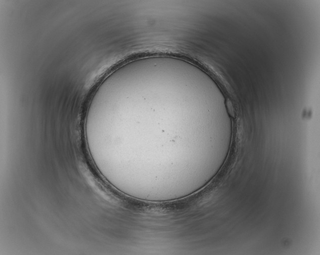 X0000110910677200907021436