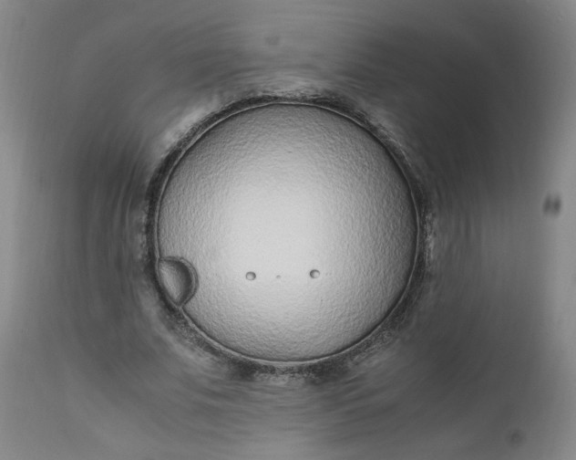 X0000110910679200907021436