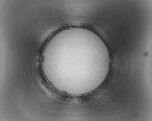 X0000110910683200907021435