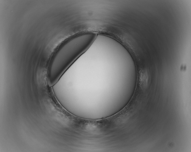 X0000110910684200907021435