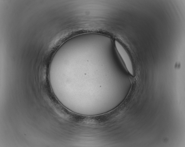 X0000110910685200907021435