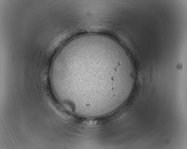 X0000110910687200907021435