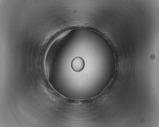 X0000110910688200907021435