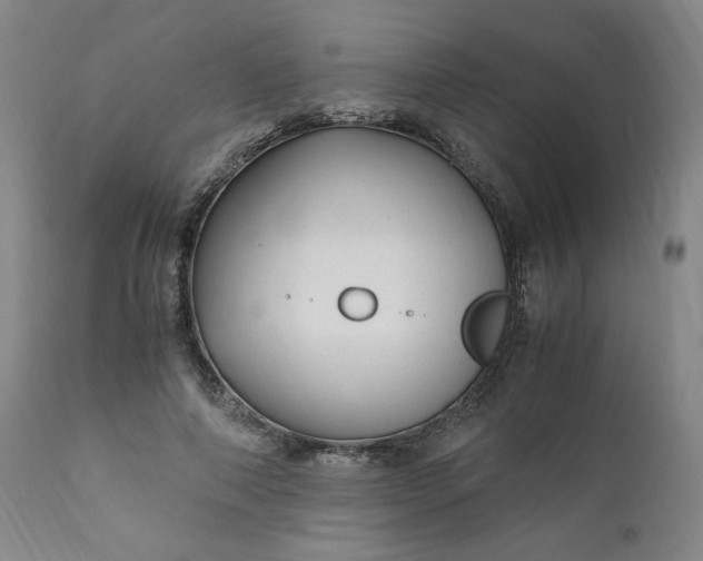 X0000110910690200907021435