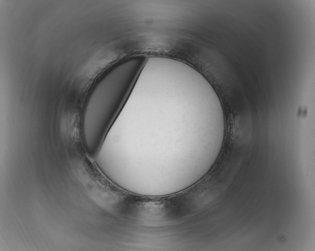 X0000110910692200907021435