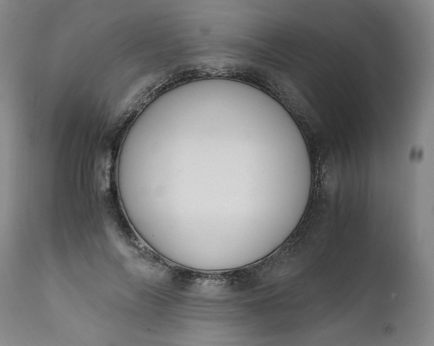 X0000110910694200907021435