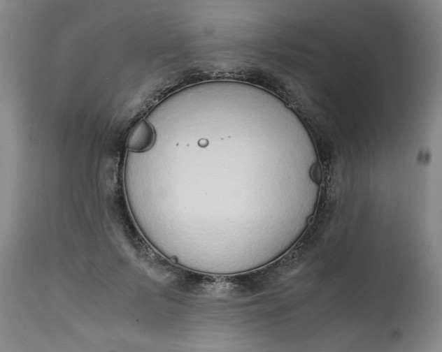 X0000110910695200907021435