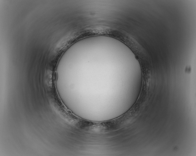 X0000110910696200907021435