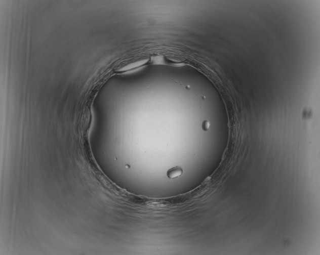 X0000110910701200907021435