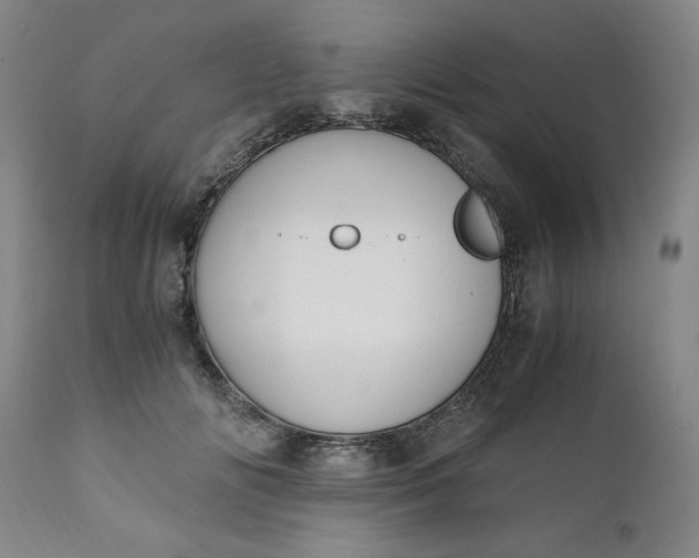 X0000110910702200907021435