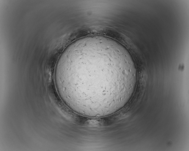 X0000110910703200907021435