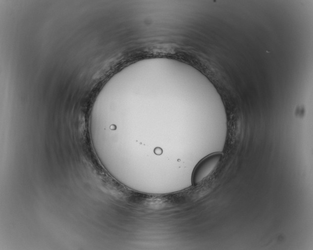 X0000110910704200907021435