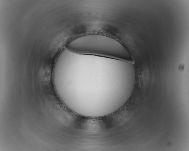 X0000110910708200907021435