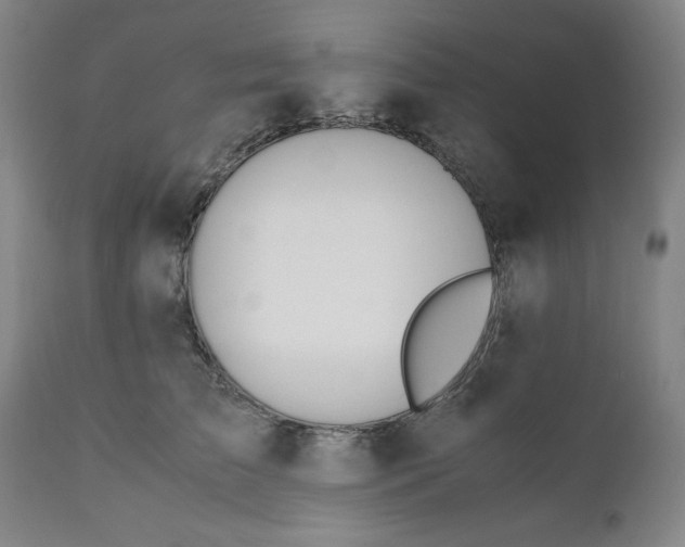 X0000110910709200907021435