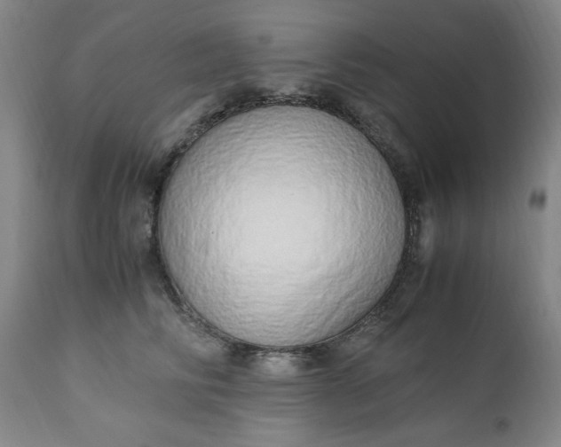 X0000110910710200907021435