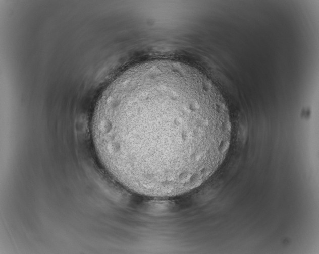 X0000110910711200907021435