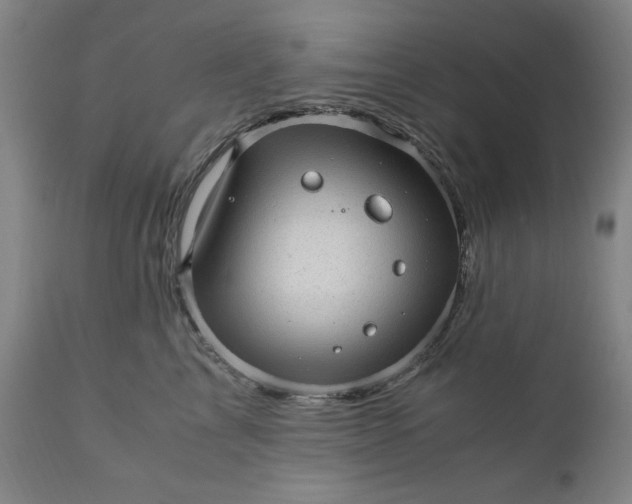 X0000110910713200907021435