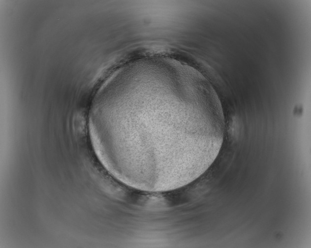 X0000110910715200907021435