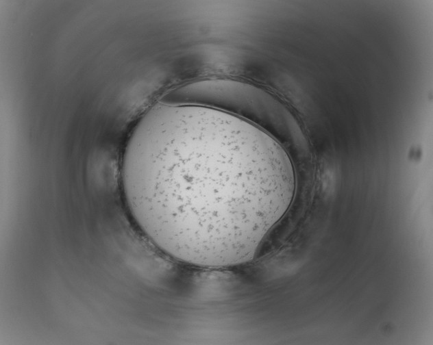 X0000110910716200907021435