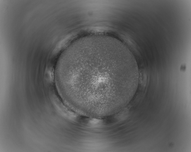 X0000110910718200907021435