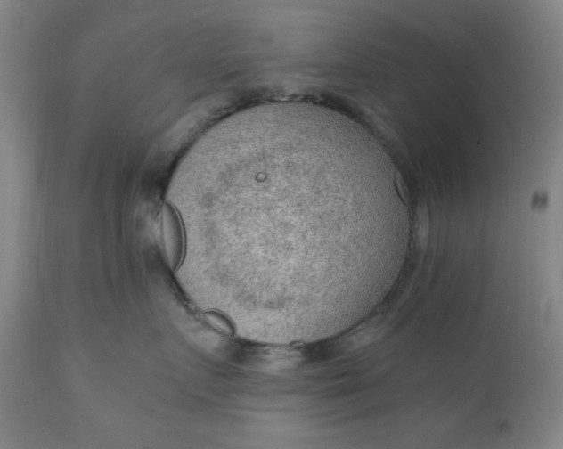 X0000110910719200907021435