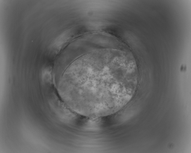 X0000110910720200907021435