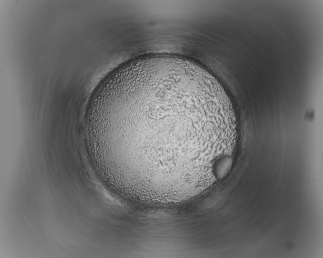 X0000110910721200907021434