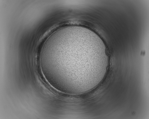 X0000110910722200907021434