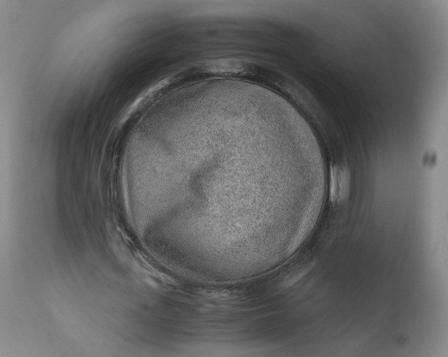 X0000110910723200907021434